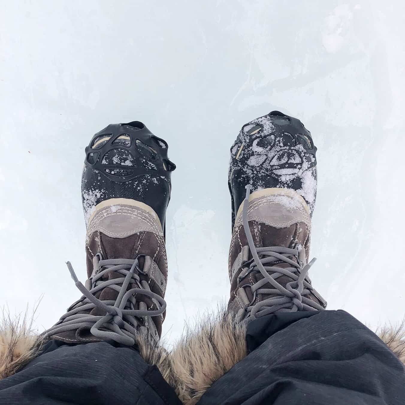 Grotto Canyon Ice Walk