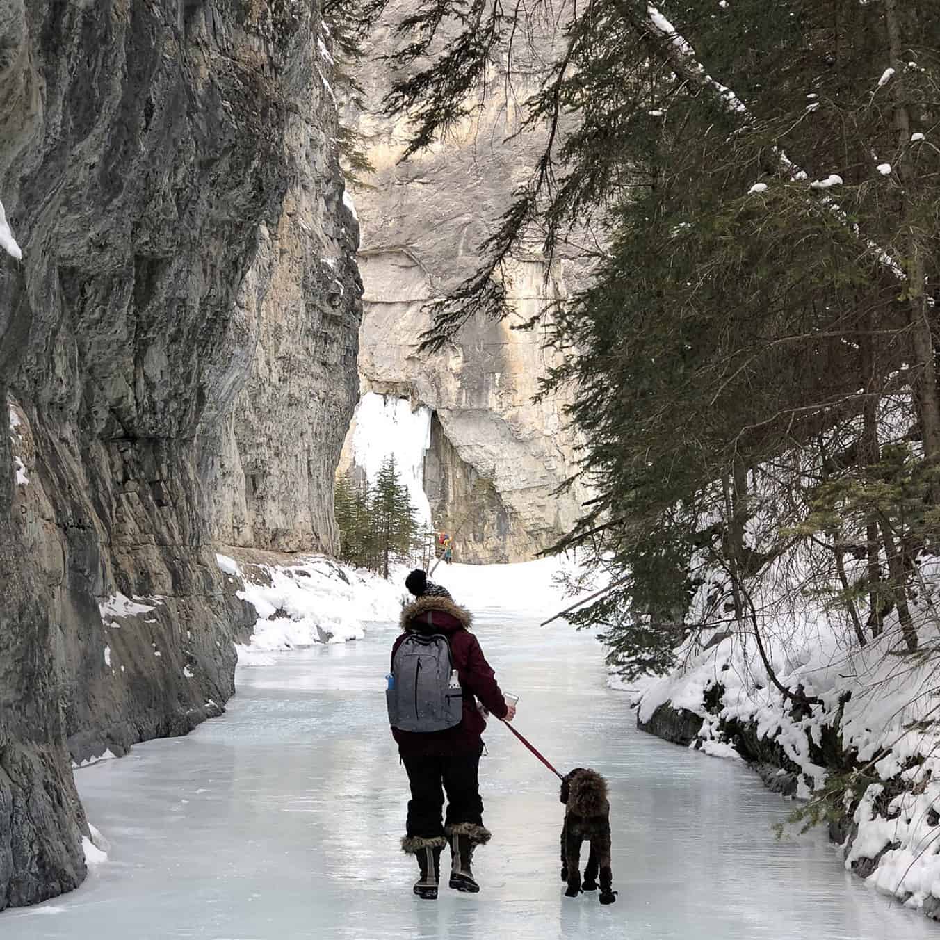 Grotto Canyon Ice Walk