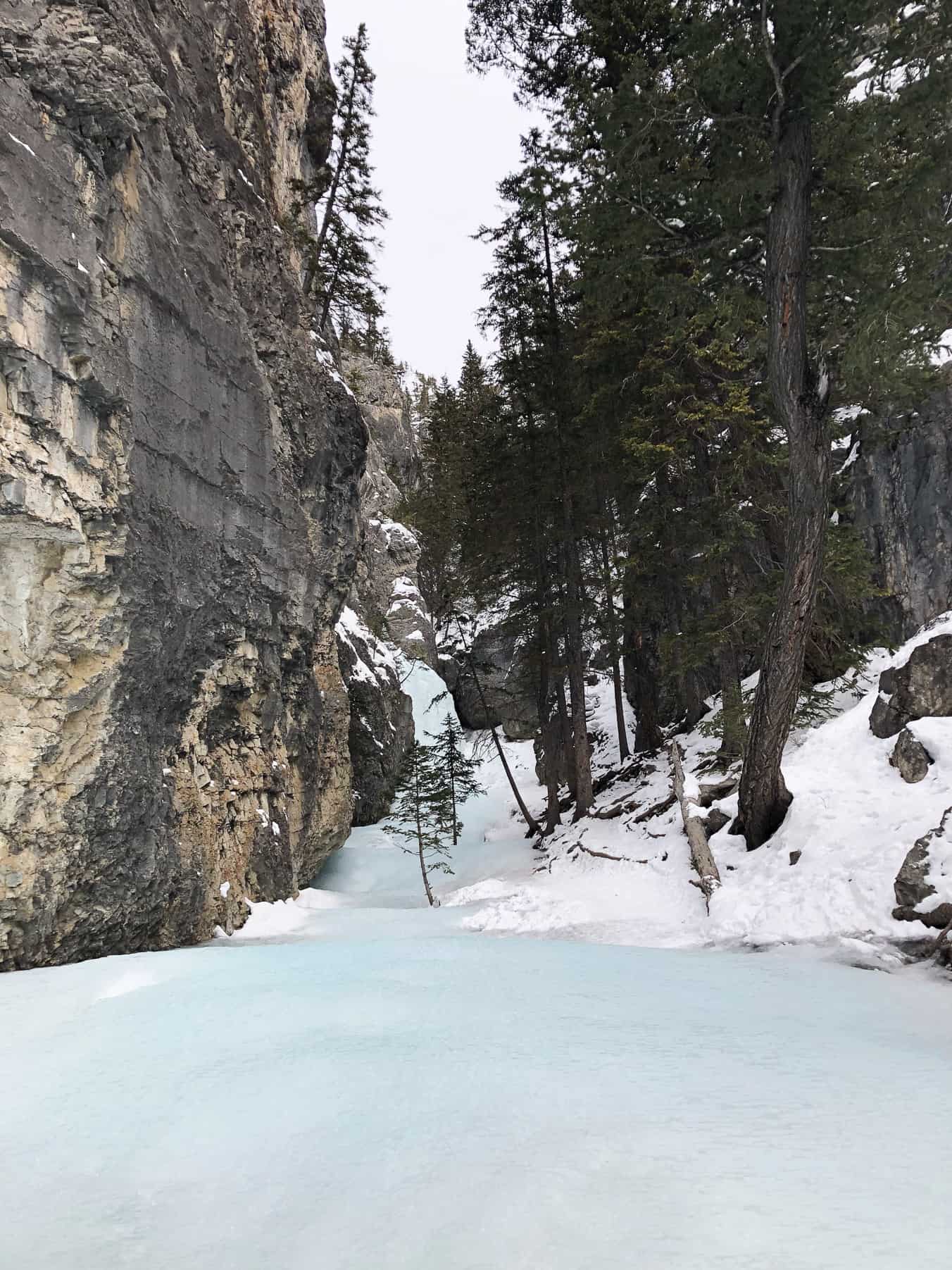 Grotto Canyon Ice Walk