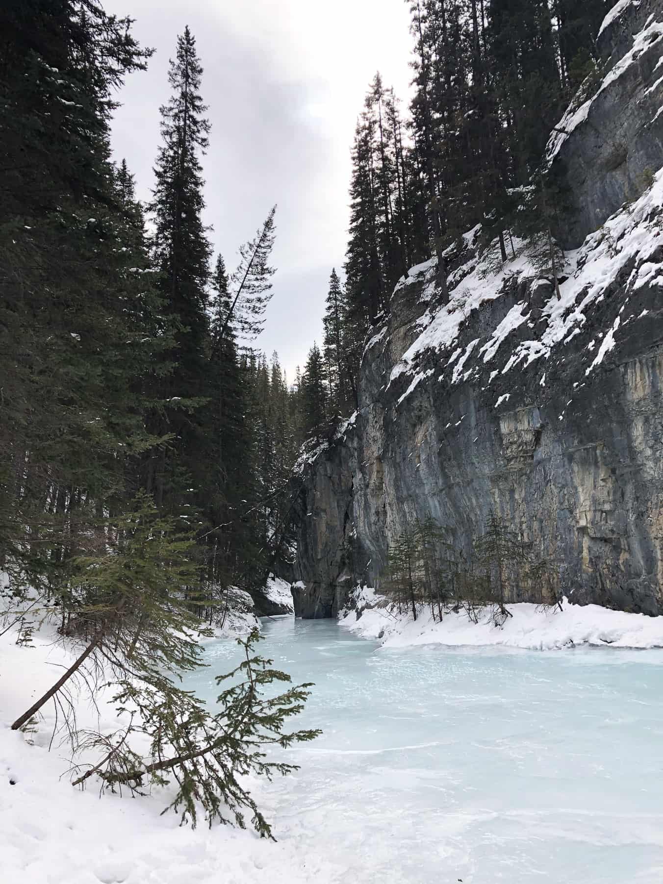 Grotto Canyon Ice Walk