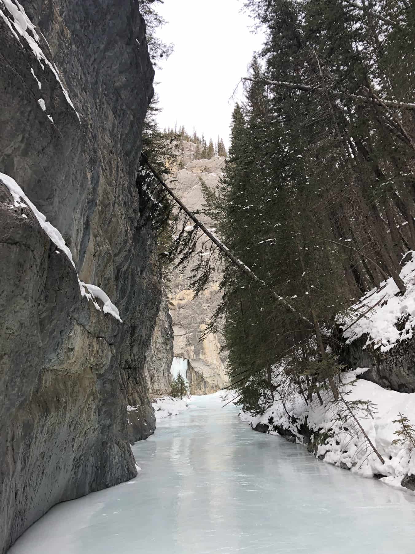 Grotto Canyon Ice Walk