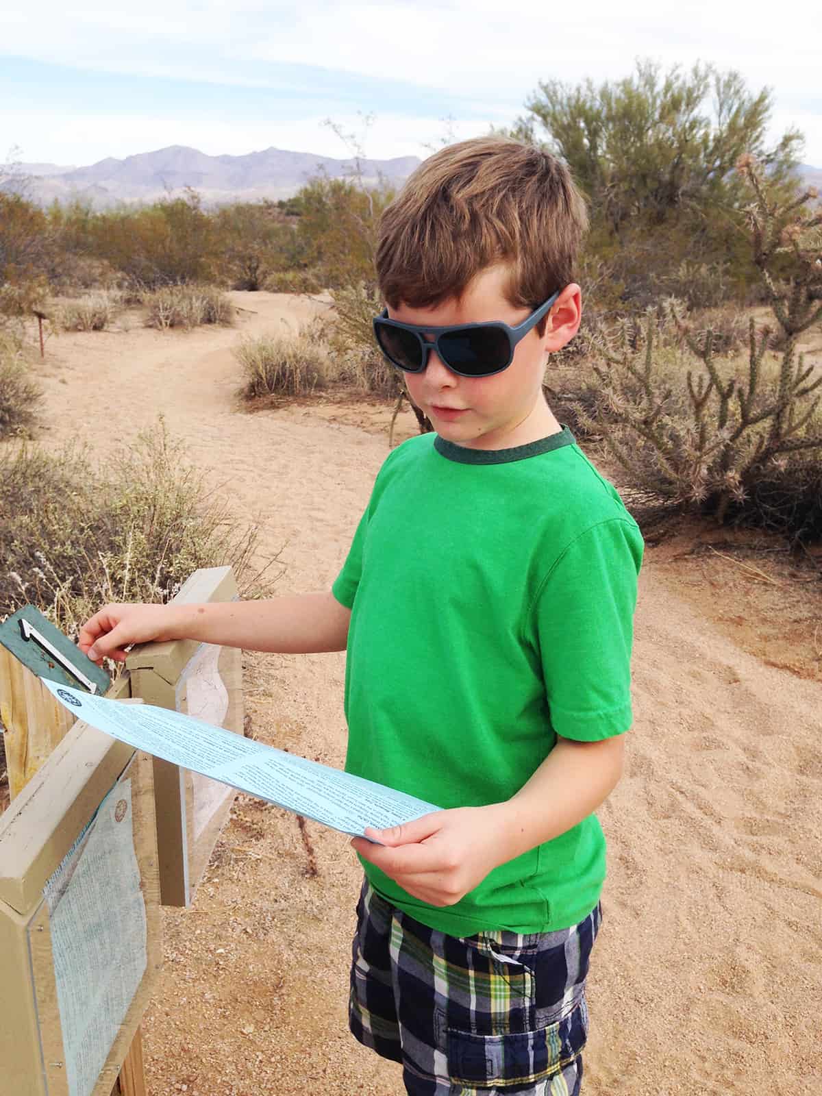 McDowell Mountain Regional Park, The North Trail Self Guided Tour