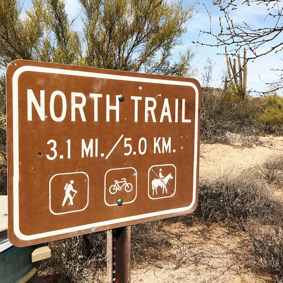 North Trail Self Guided Tour in McDowell Mountain Regional Park, Arizona