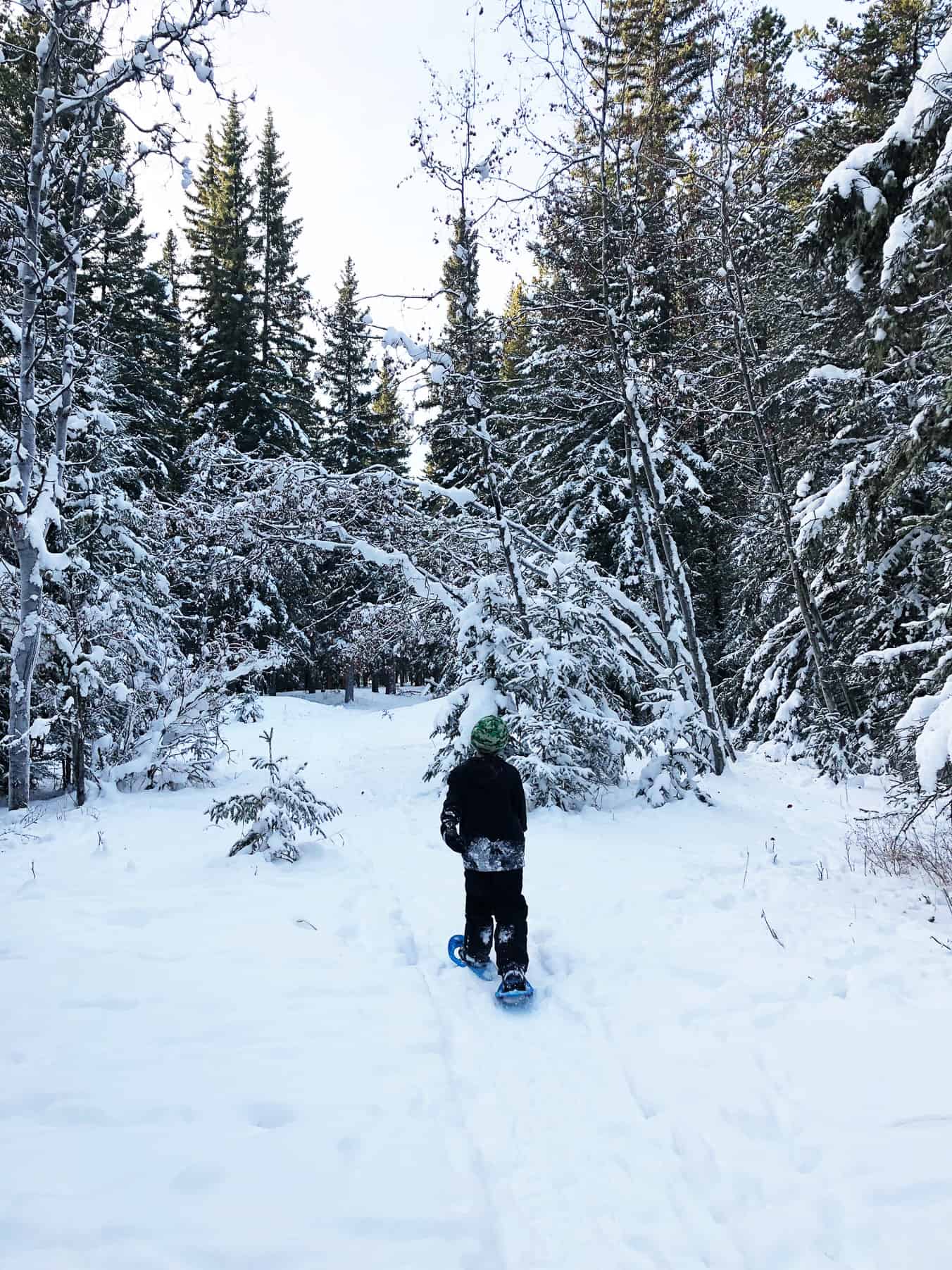 Winter Campfires and Snowshoeing in Bragg Creek