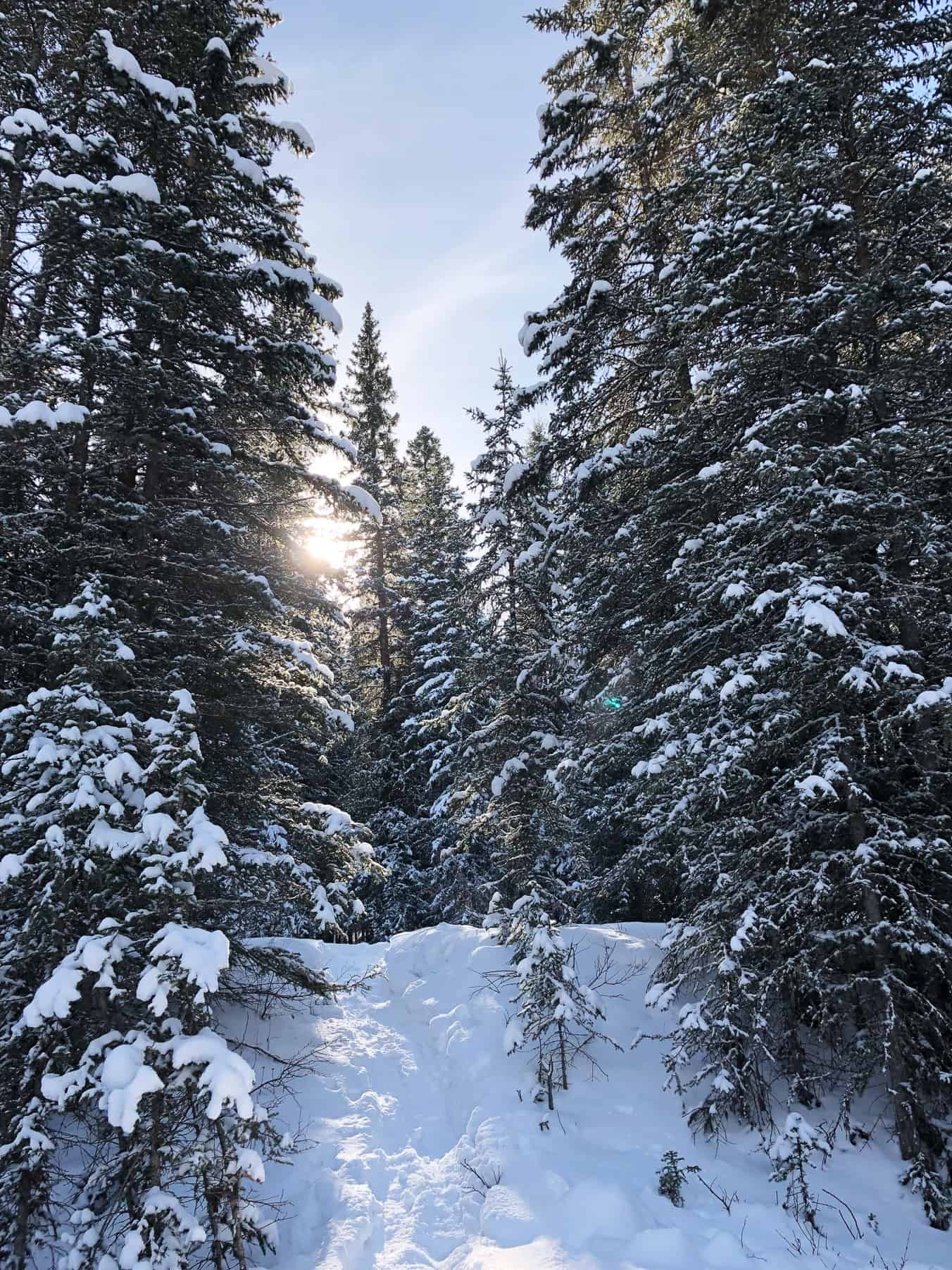Winter Campfires and Snowshoeing in Bragg Creek