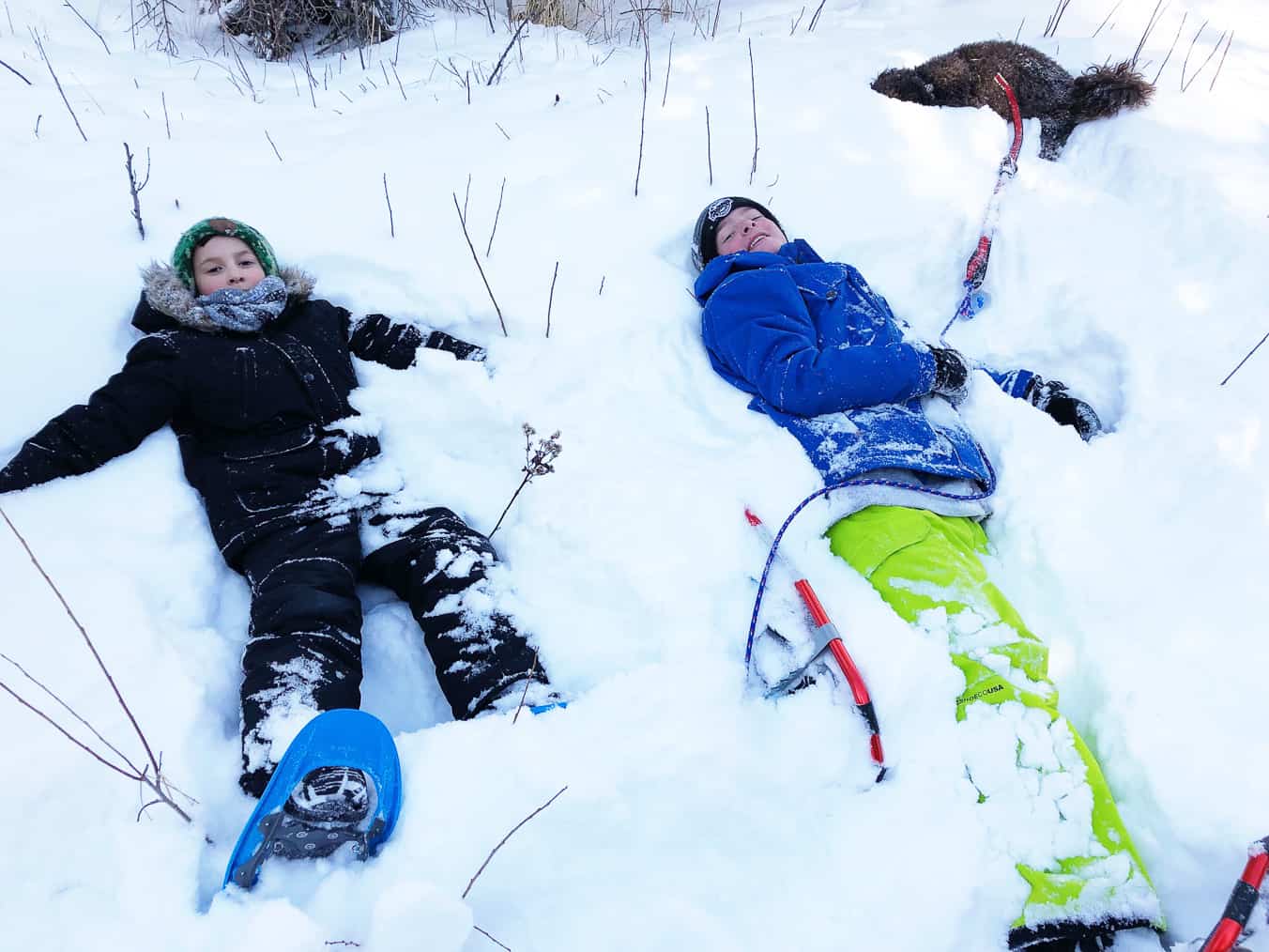 Winter Campfires and Snowshoeing in Bragg Creek