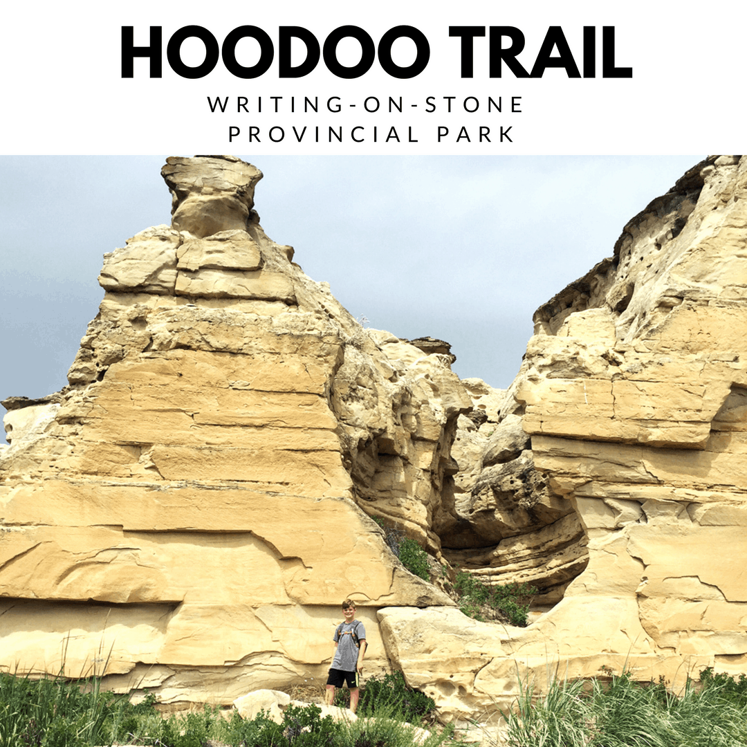 The Hoodoo Trail at Writing-on-Stone Provincial Park (4.4 KM), is a great way to get up and close with the hoodoos, and take in the most amazing views of this unique and breathtaking landscape.