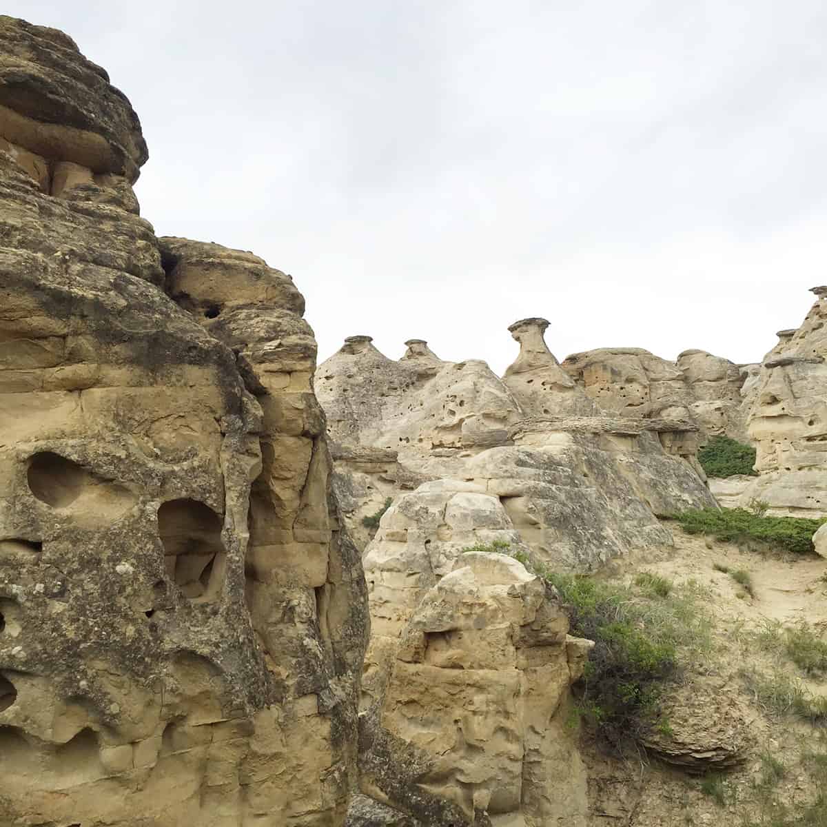 Hoodoo Trail at Writing-on-Stone Provincial Park