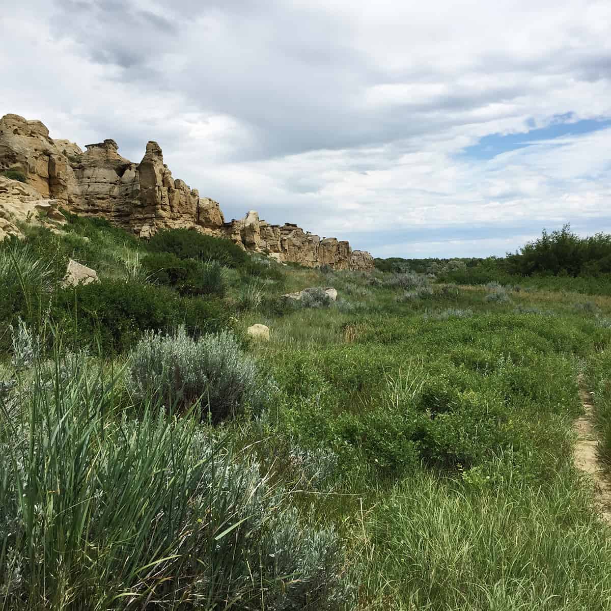 Hoodoo Trail at Writing-on-Stone Provincial Park
