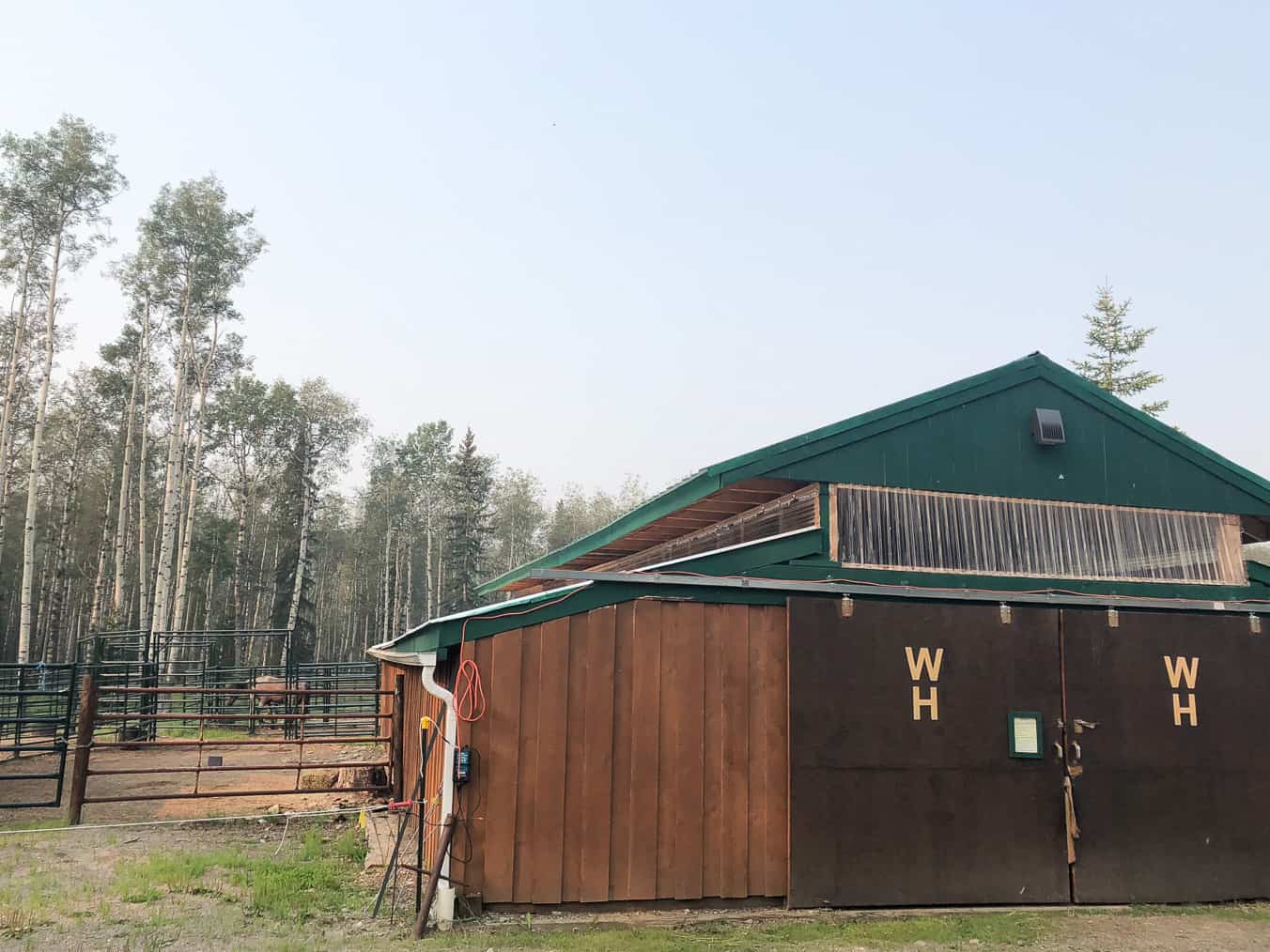 Wild Horses of Alberta Society