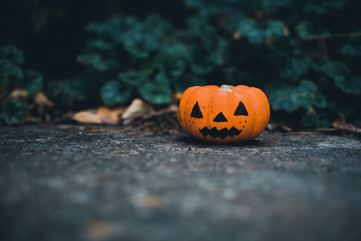 Family Friendly Halloween Events: Calgary and Edmonton Areas