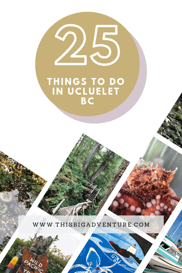 25 Things To Do In Ucluelet, BC