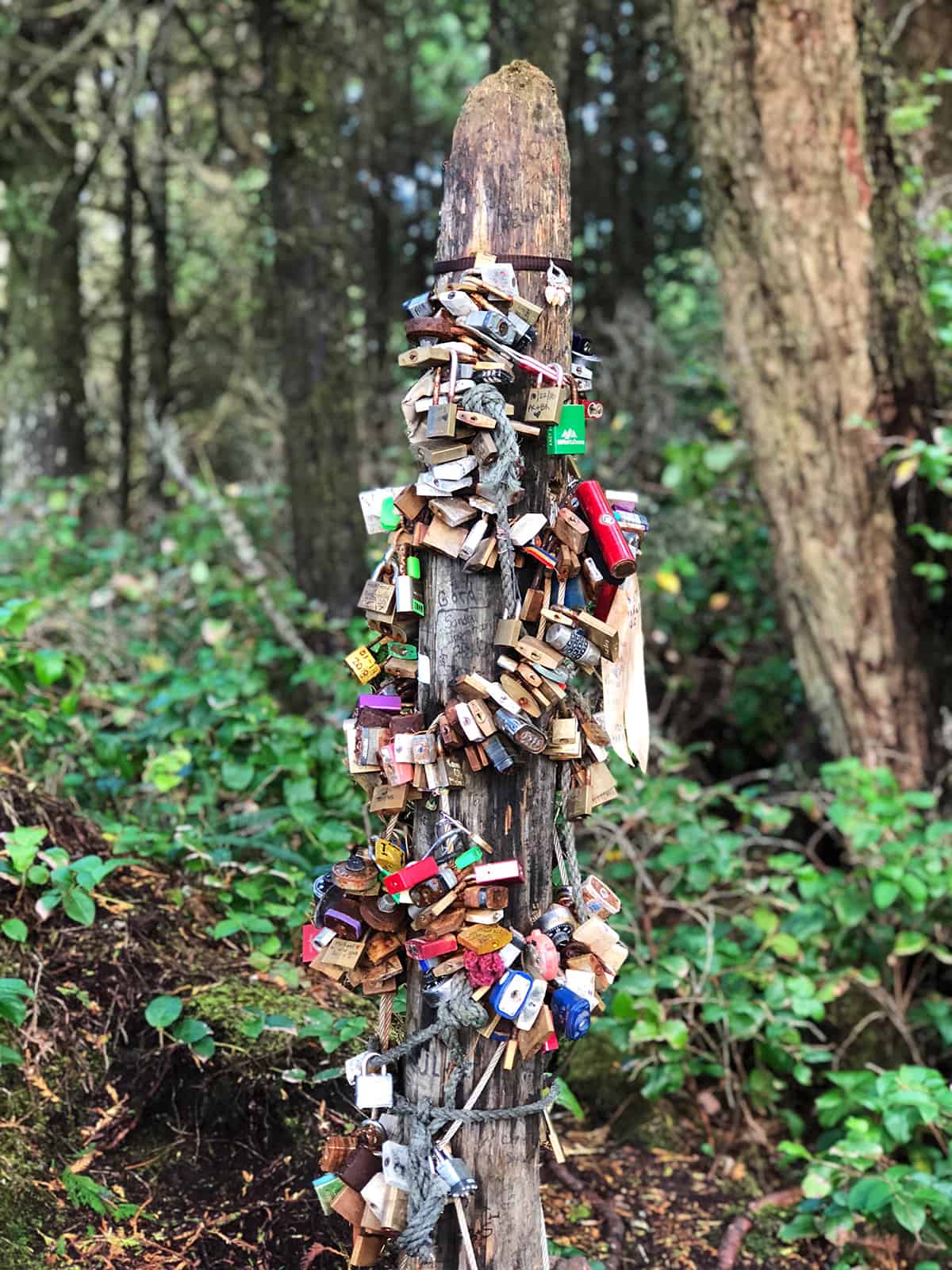 Love Locks, Wild Pacific Trail Ucluelet