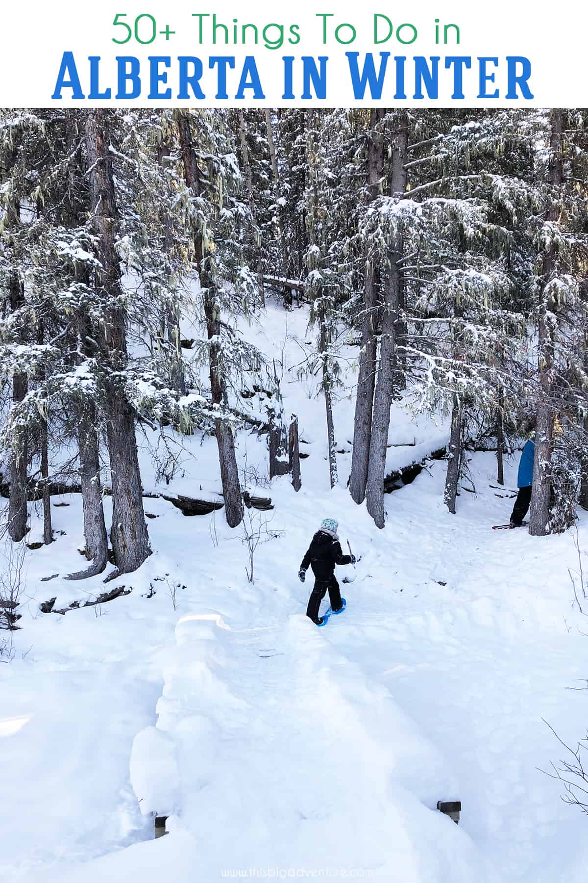 50 Plus Things to Do in Alberta in Winter