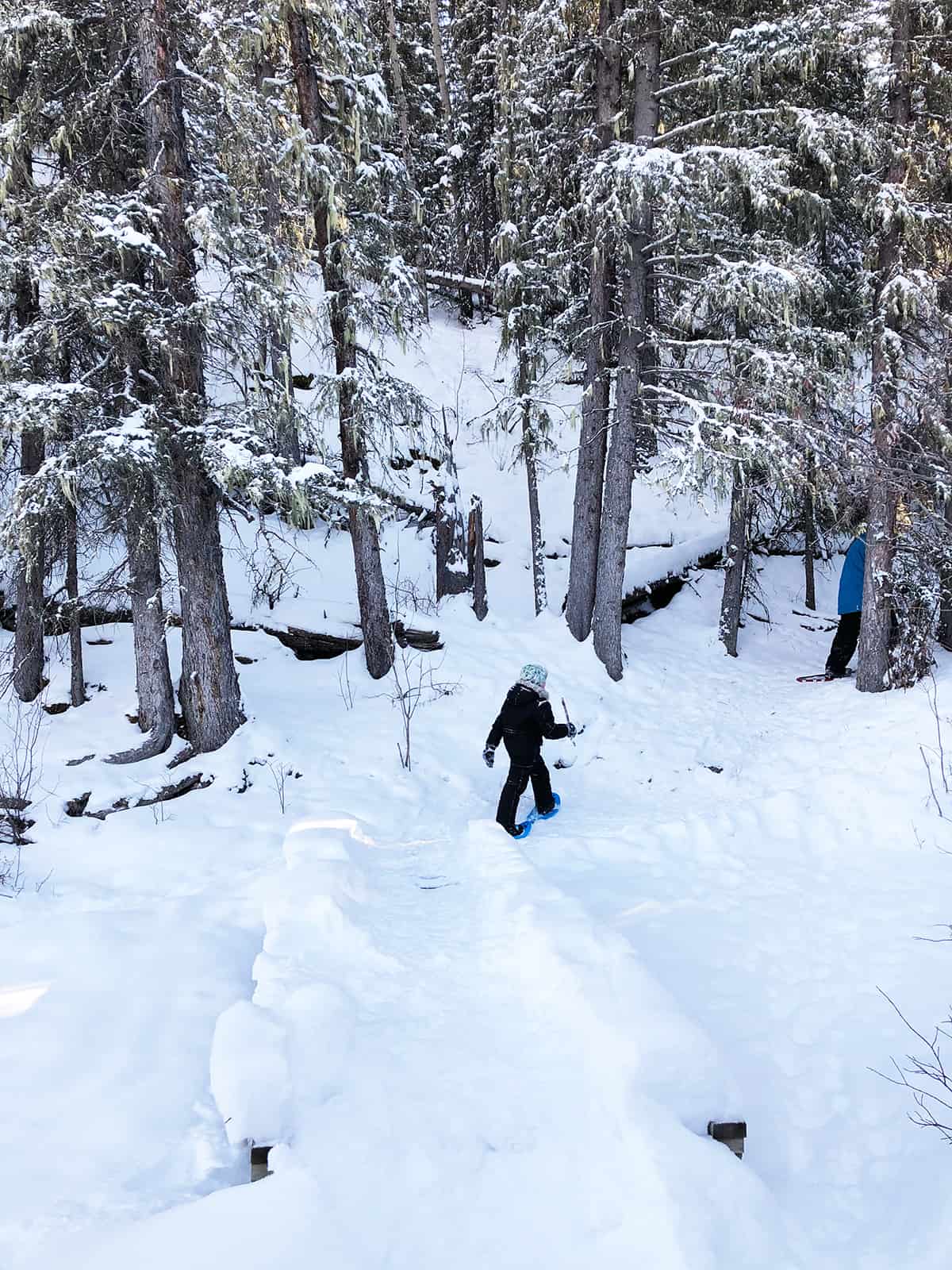 50 Things to do in Alberta in Winter!