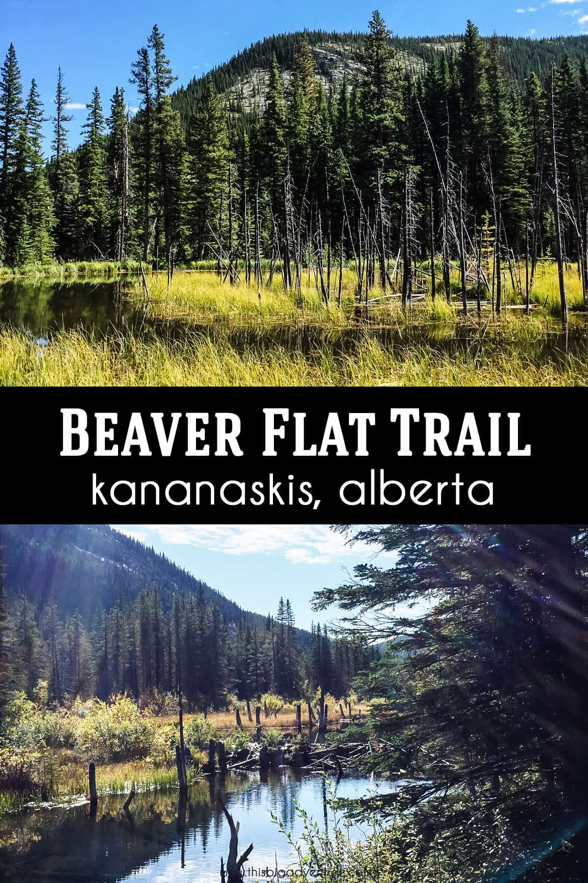 Beaver Flat Trail, Kananaskis