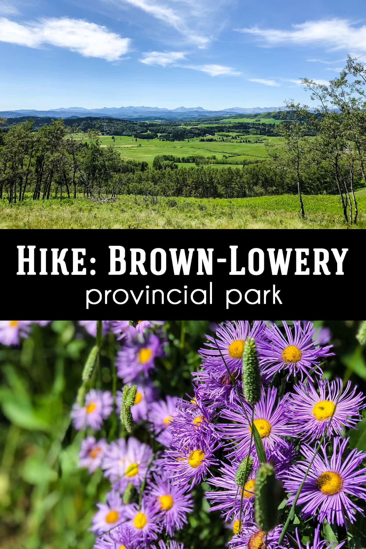 Brown-Lowery Provincial Park