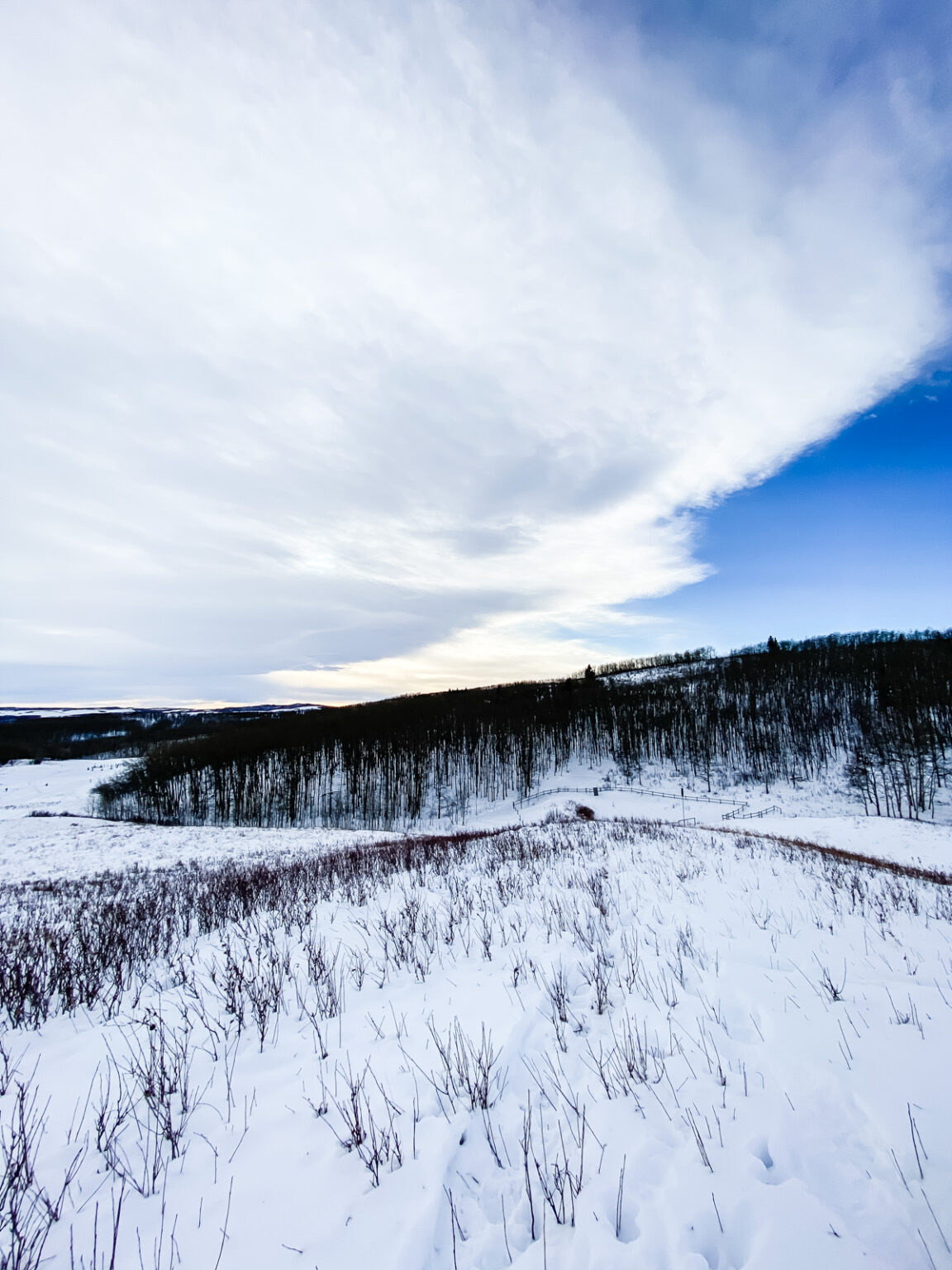 Snowshoeing at Ann & Sandy Cross Conservation Area This Big Adventure