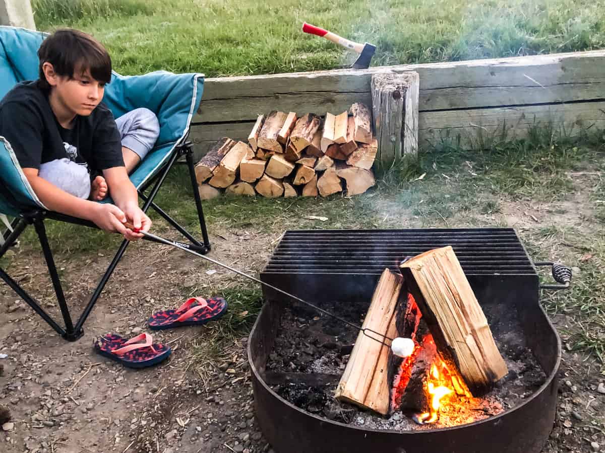 an image of a young boy roasting a marshmallow over a campfire